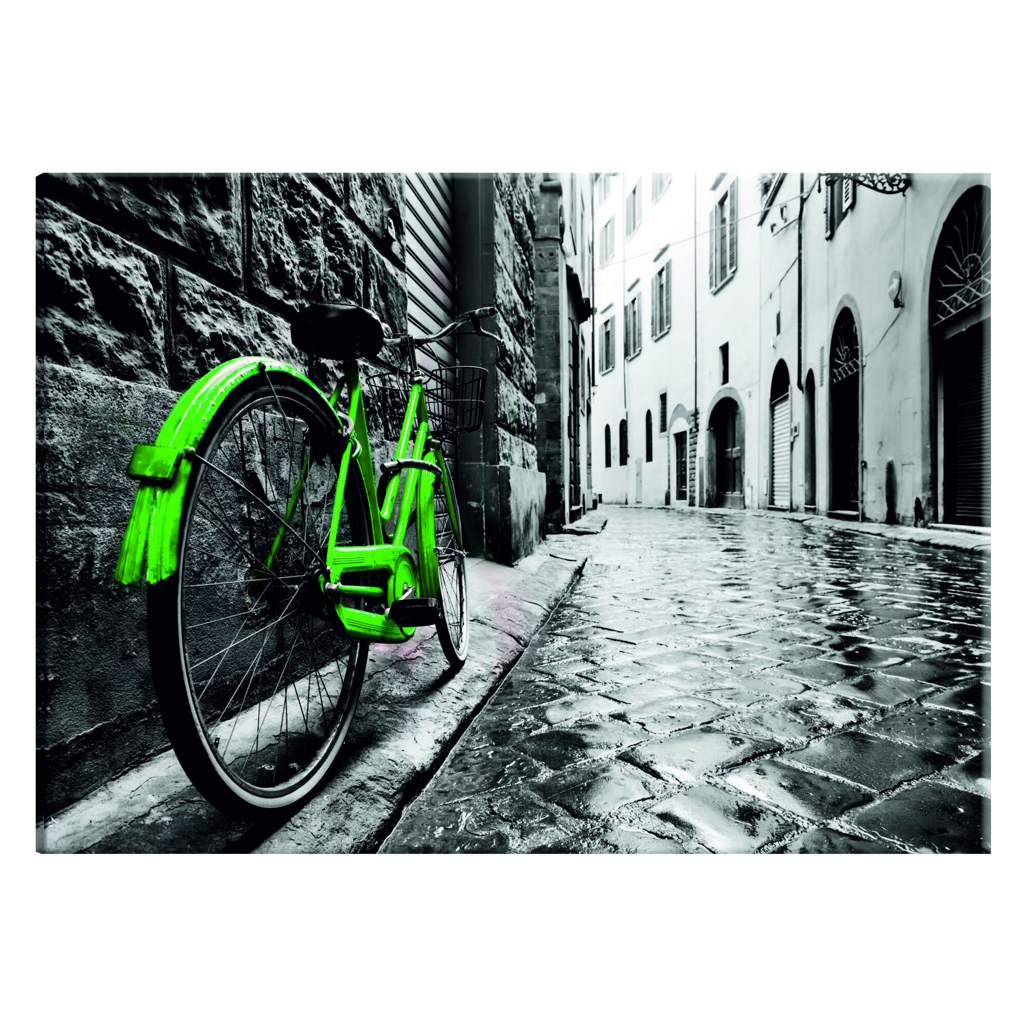 Tablou canvas - Bicicleta verde vintage - 60 x 40 cm