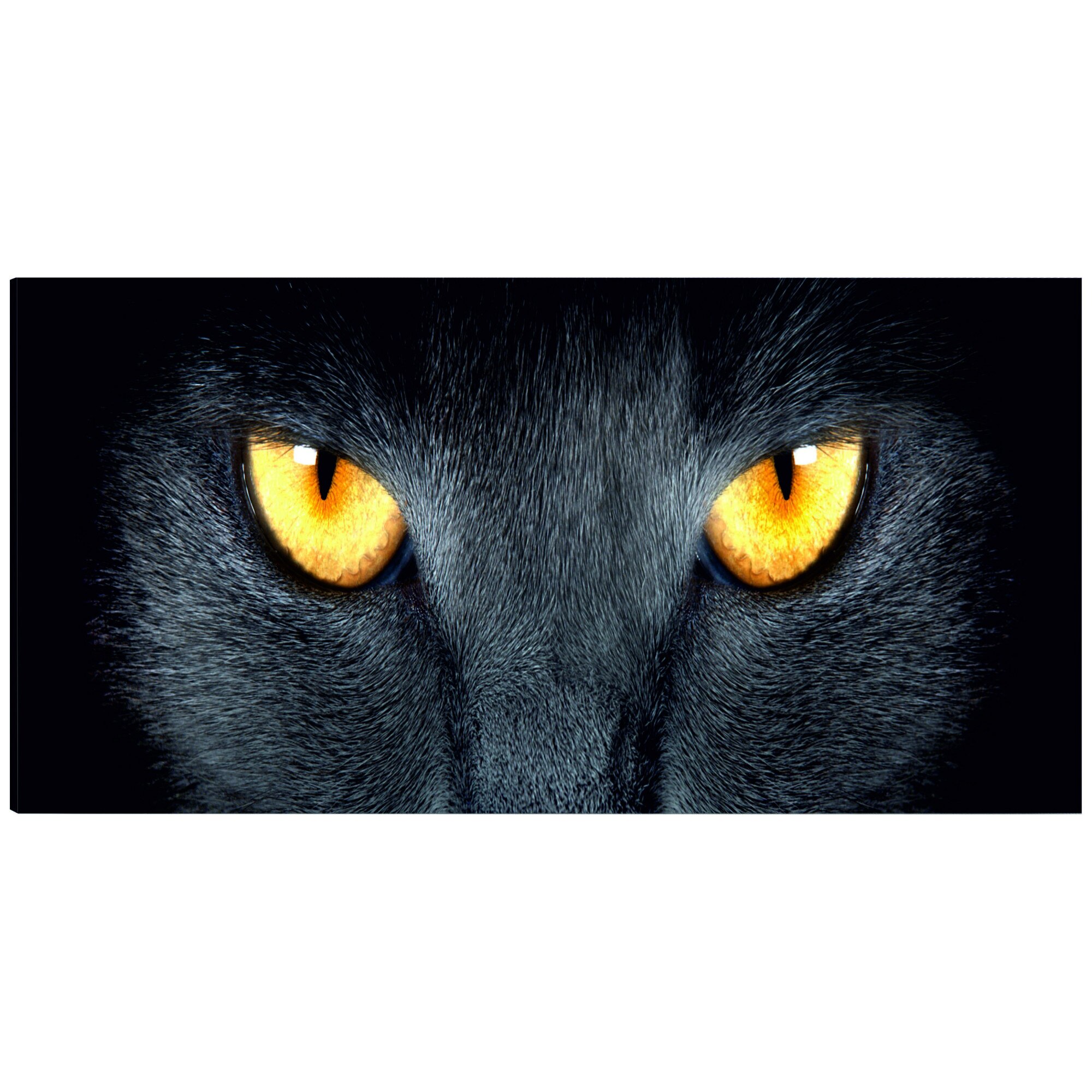 Tablou canvas - Uita-te In ochii mei... - 135 x 45 cm