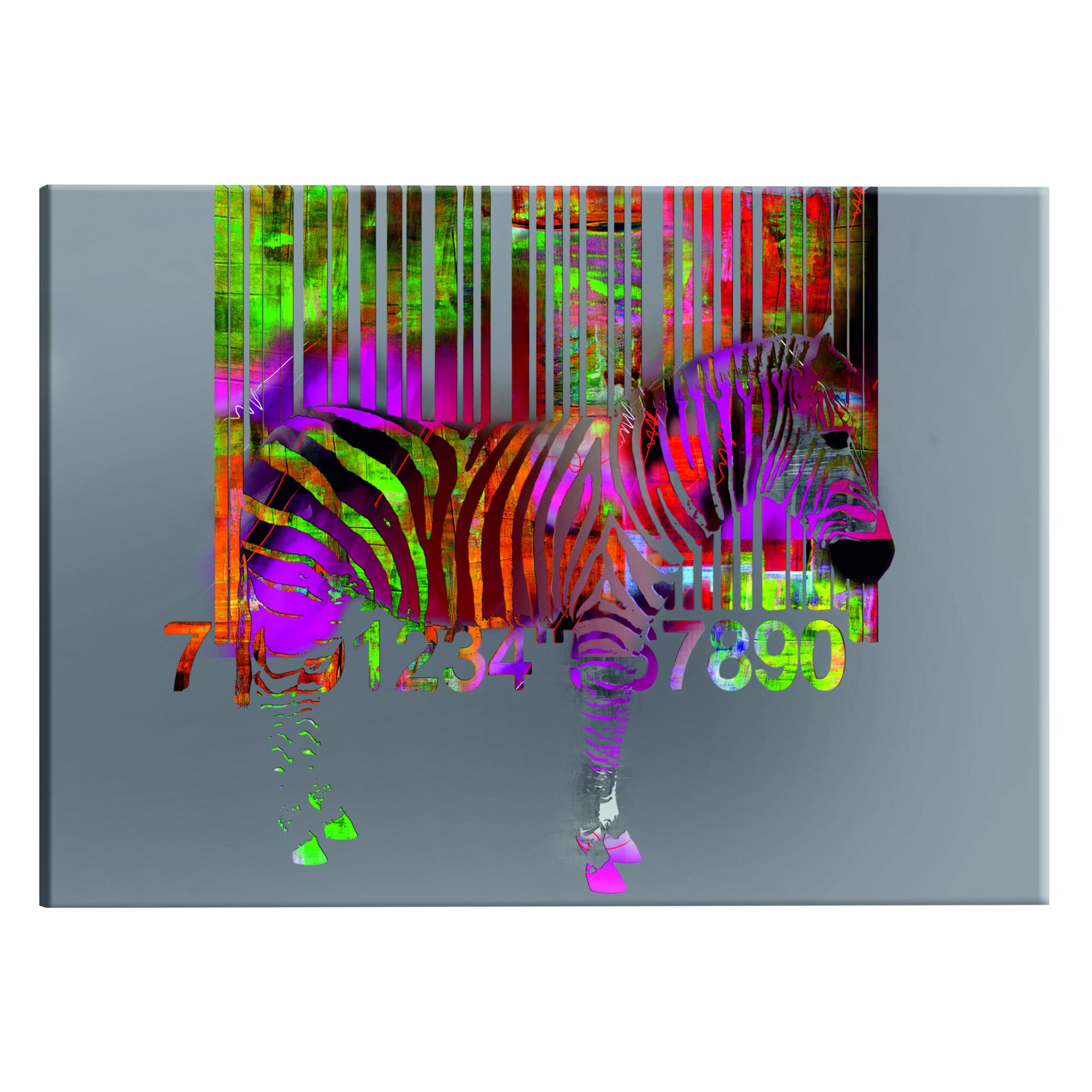 Tablou canvas - Cod Zebra - 60 x 40 cm