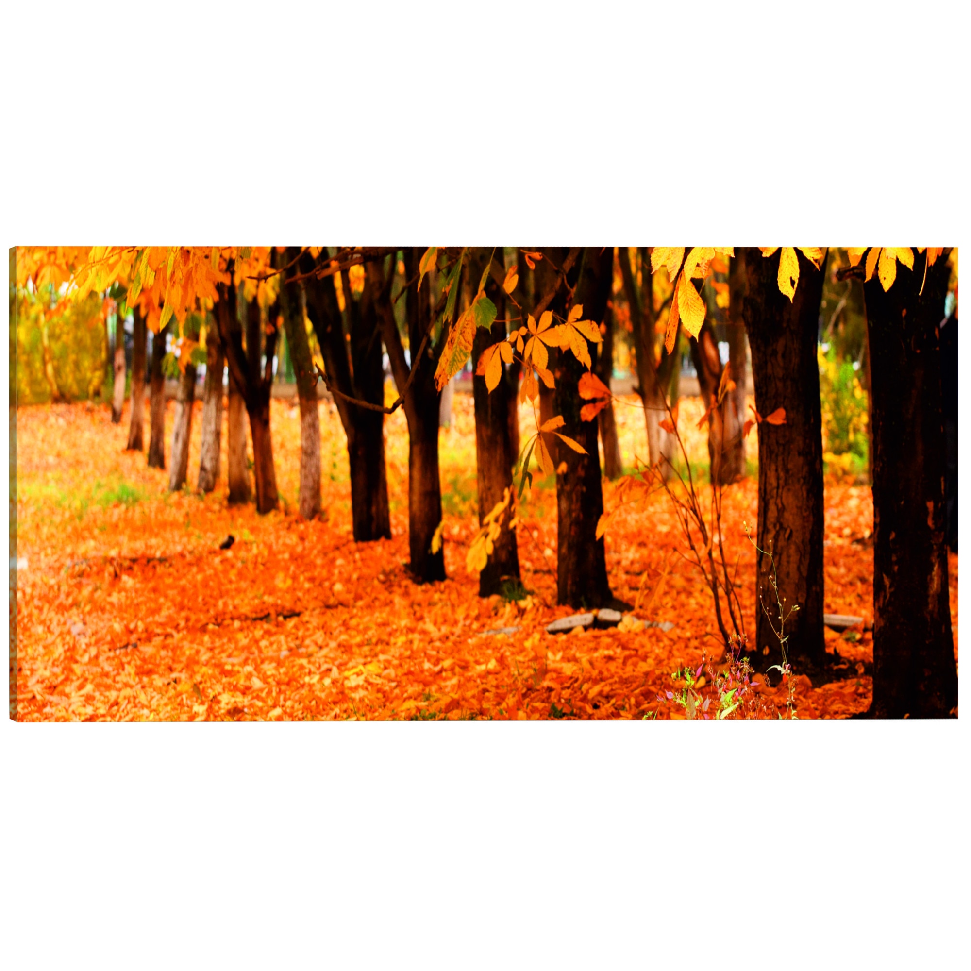 Tablou canvas - Parc acoperit cu frunze aurii - 135 x 45 cm