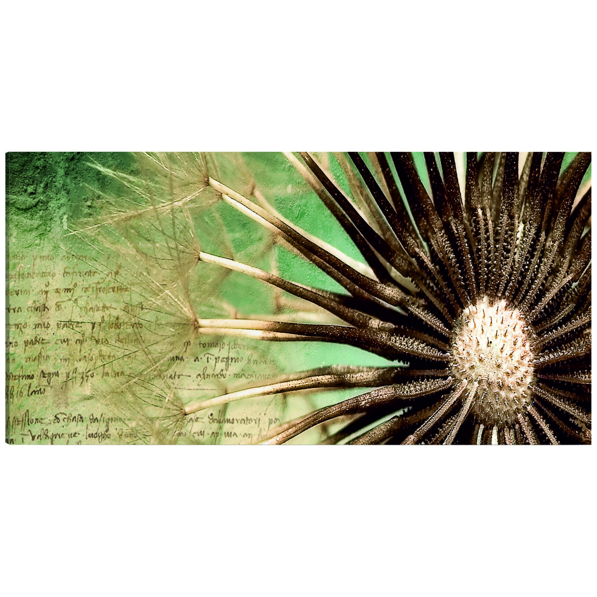 Tablou canvas - Poezie efemera - 135 x 45 cm