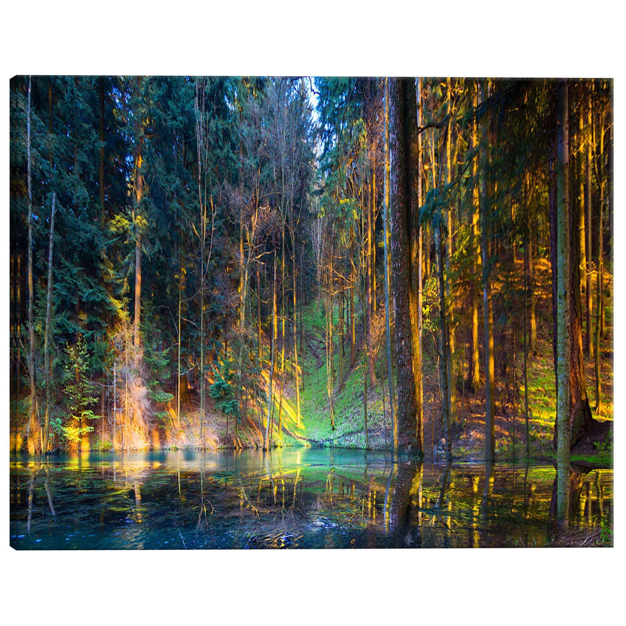 Tablou canvas - Iaz In padurea Ingusta - 135 x 45 cm