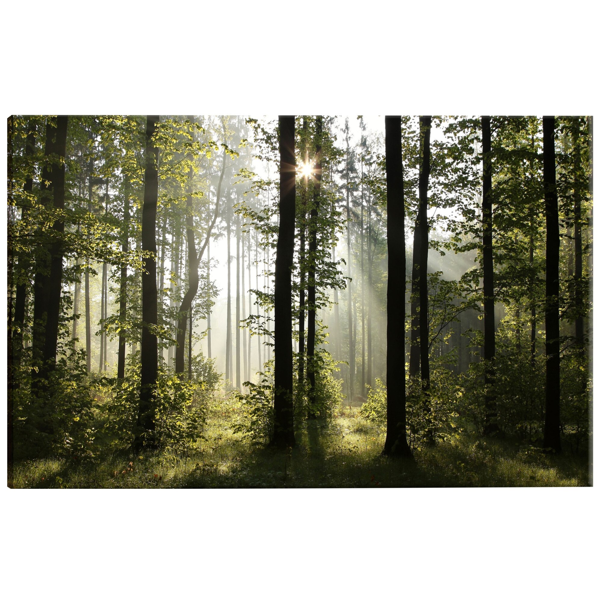 Tablou canvas - Dimineata frumoasa - 120 x 60 cm