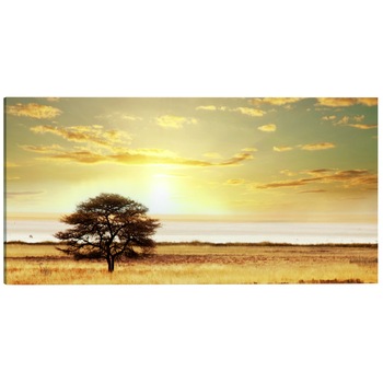Tablou canvas - Copacul singuratic de la savana - 135 x 45 cm Tablou canvas - Copacul singuratic de la savana - 135 x 45 cm