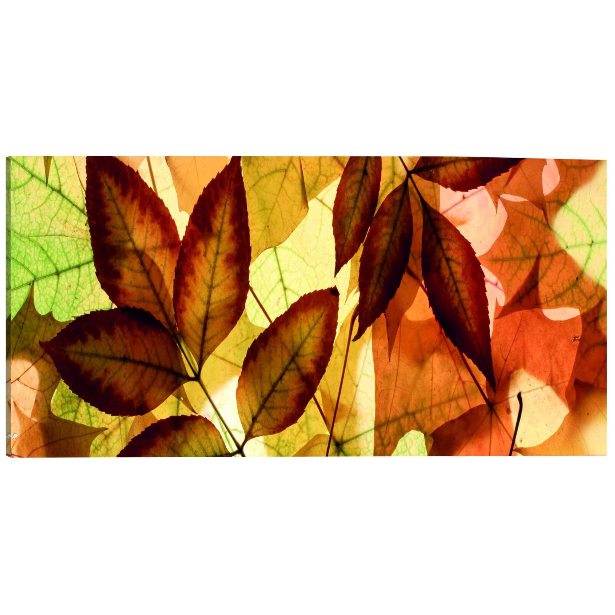Tablou canvas - Frunze de colaj - 135 x 45 cm