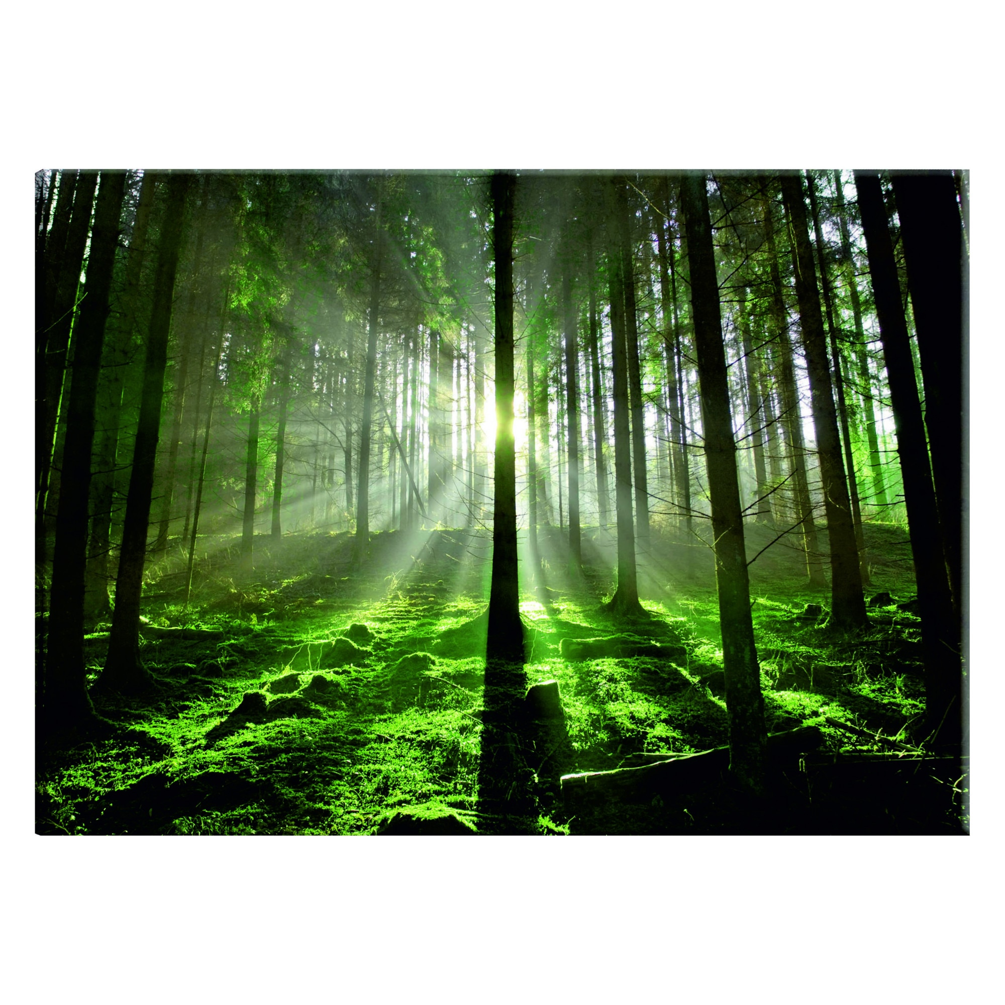 Tablou canvas - Smarald II - 90 x 60 cm