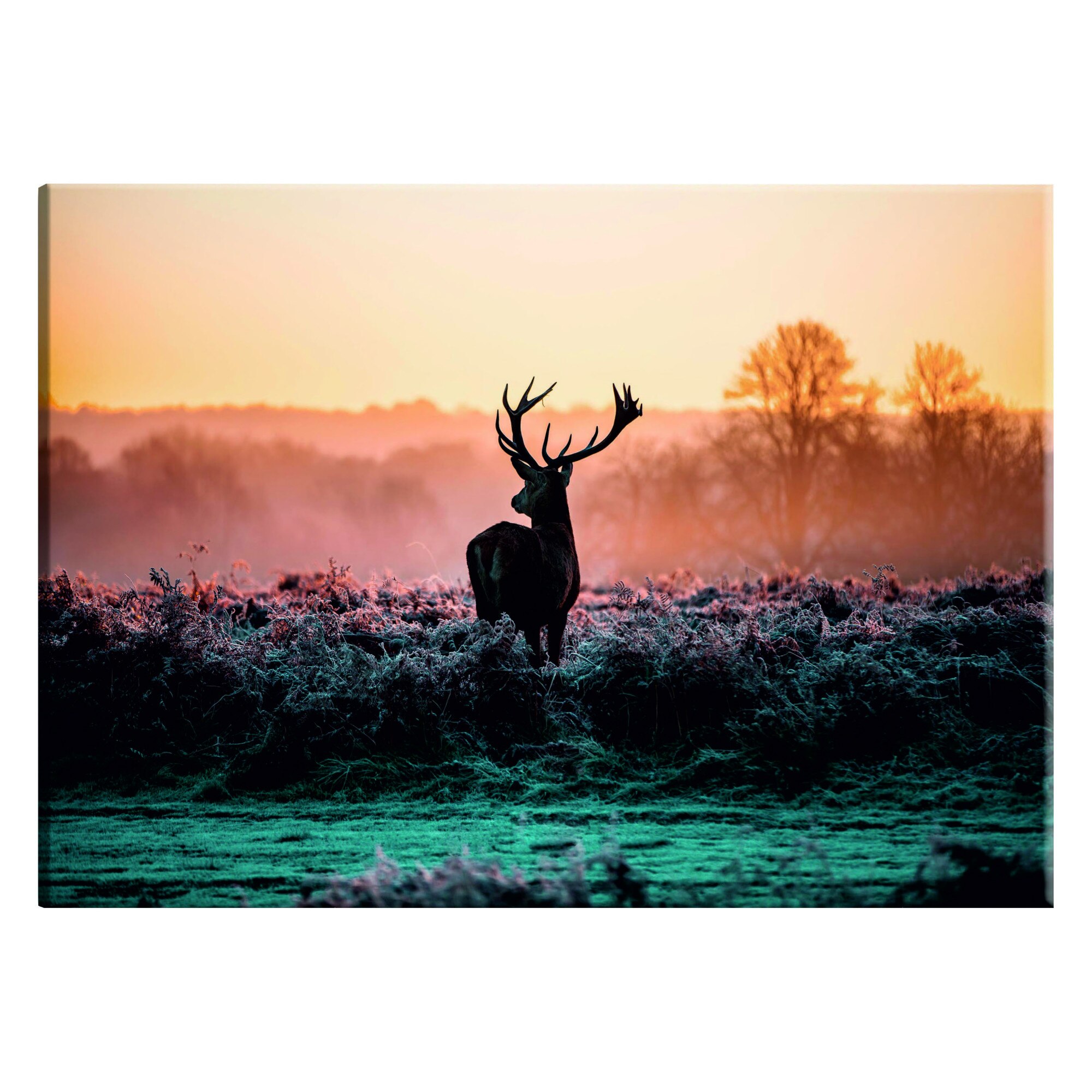 Tablou canvas - Campul Inghetat - 90 x 60 cm