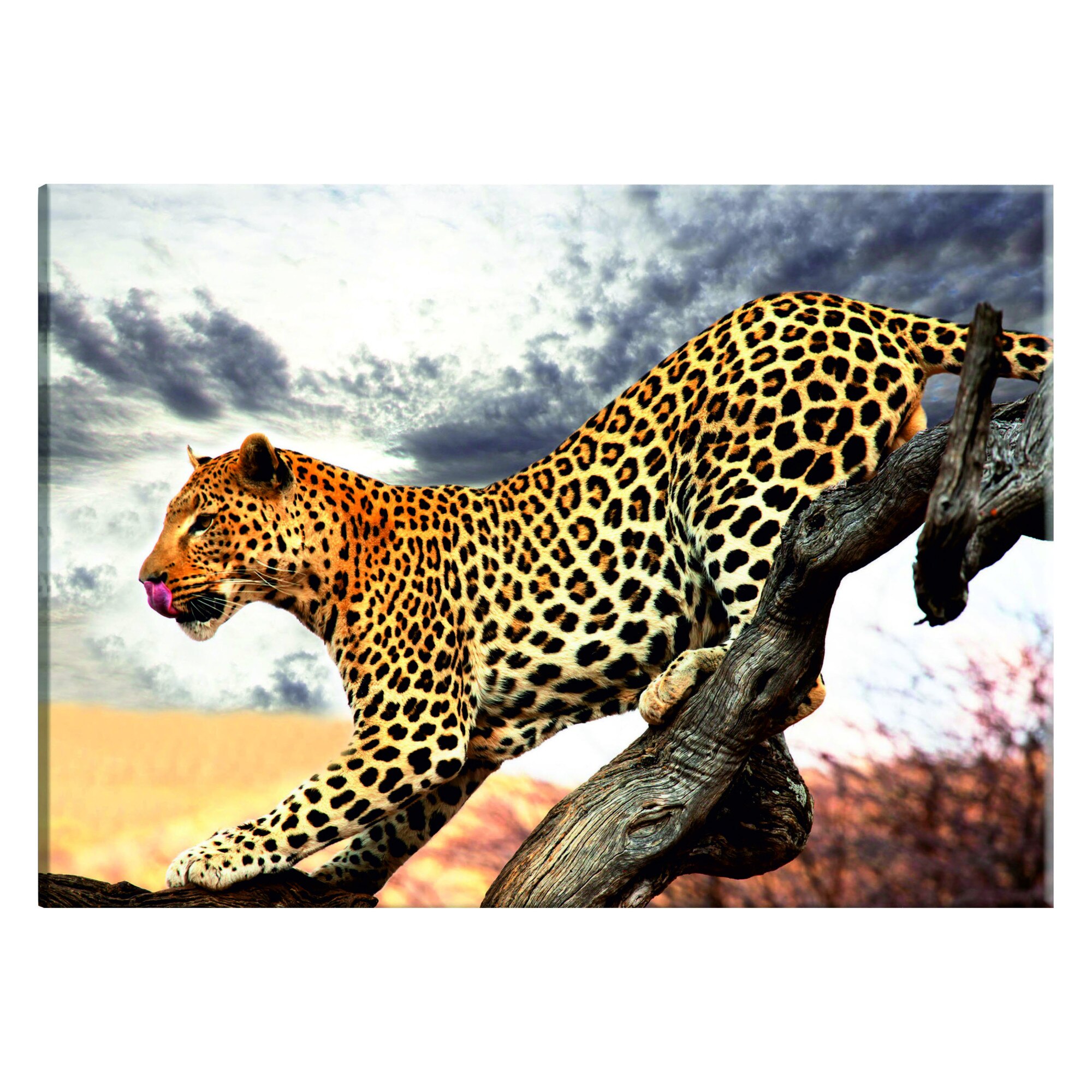 Tablou canvas - Stare predatoare - 120 x 80 cm