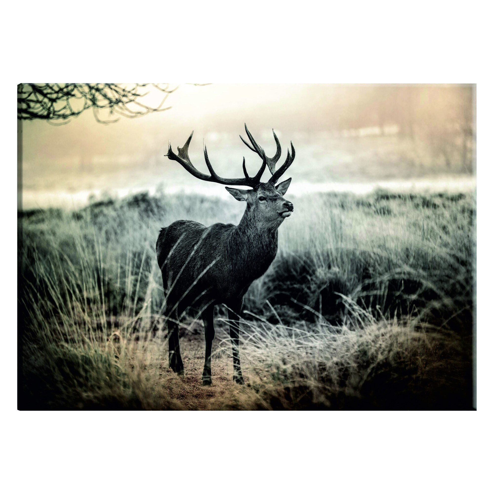 Tablou canvas - Coarne periculoase - 120 x 80 cm