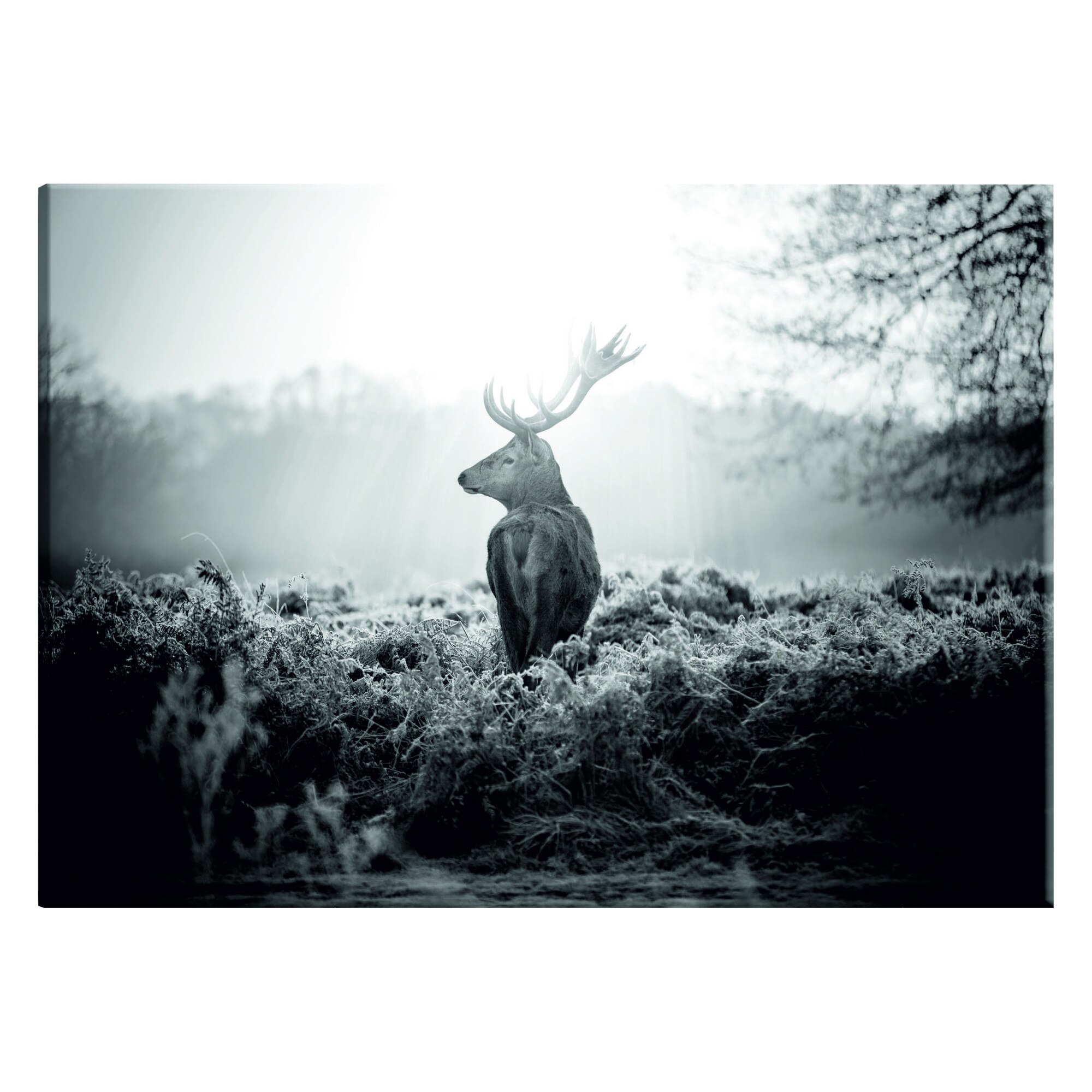 Tablou canvas - Cerb alb-negru - 120 x 80 cm