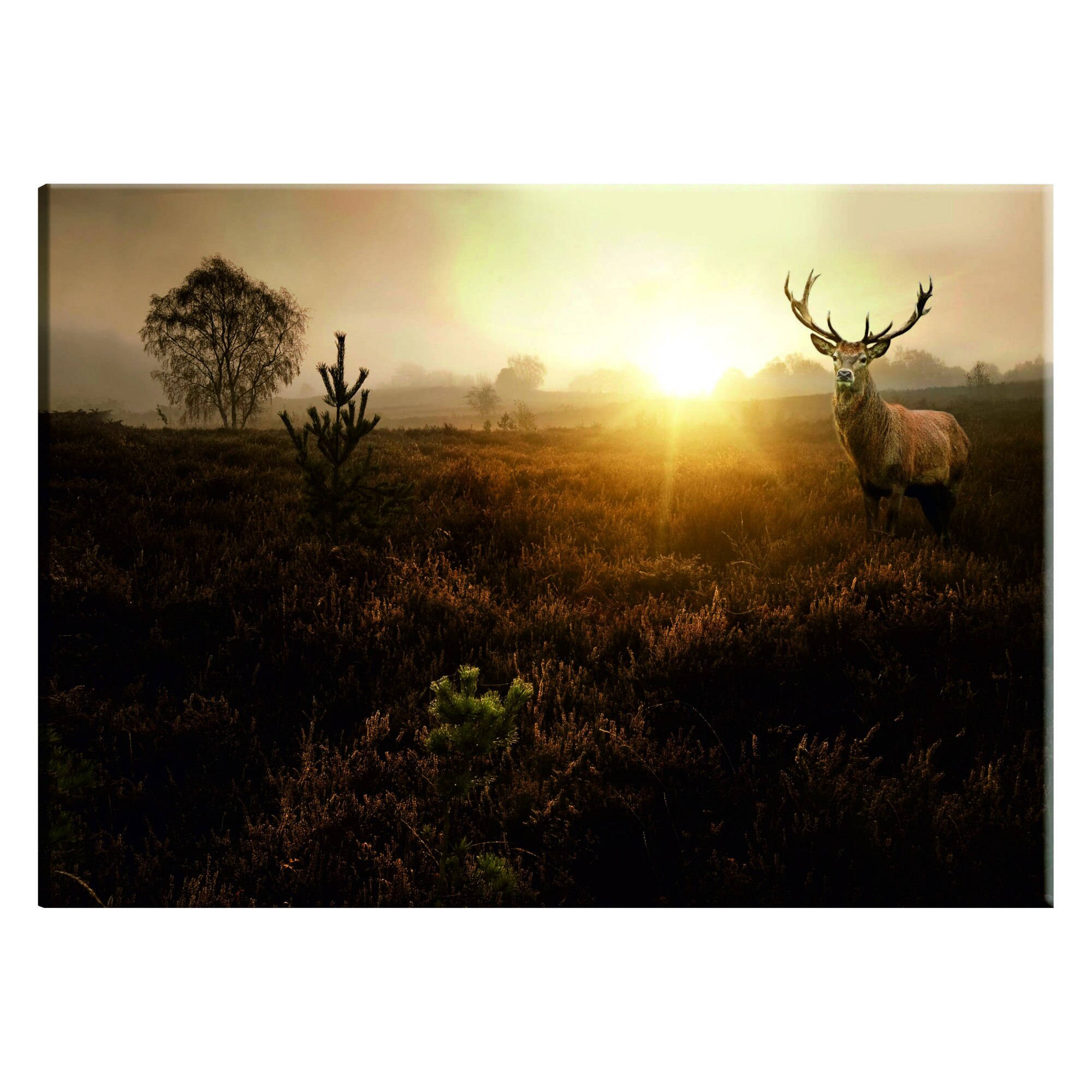 Tablou canvas - Foggy Field - 120 x 80 cm