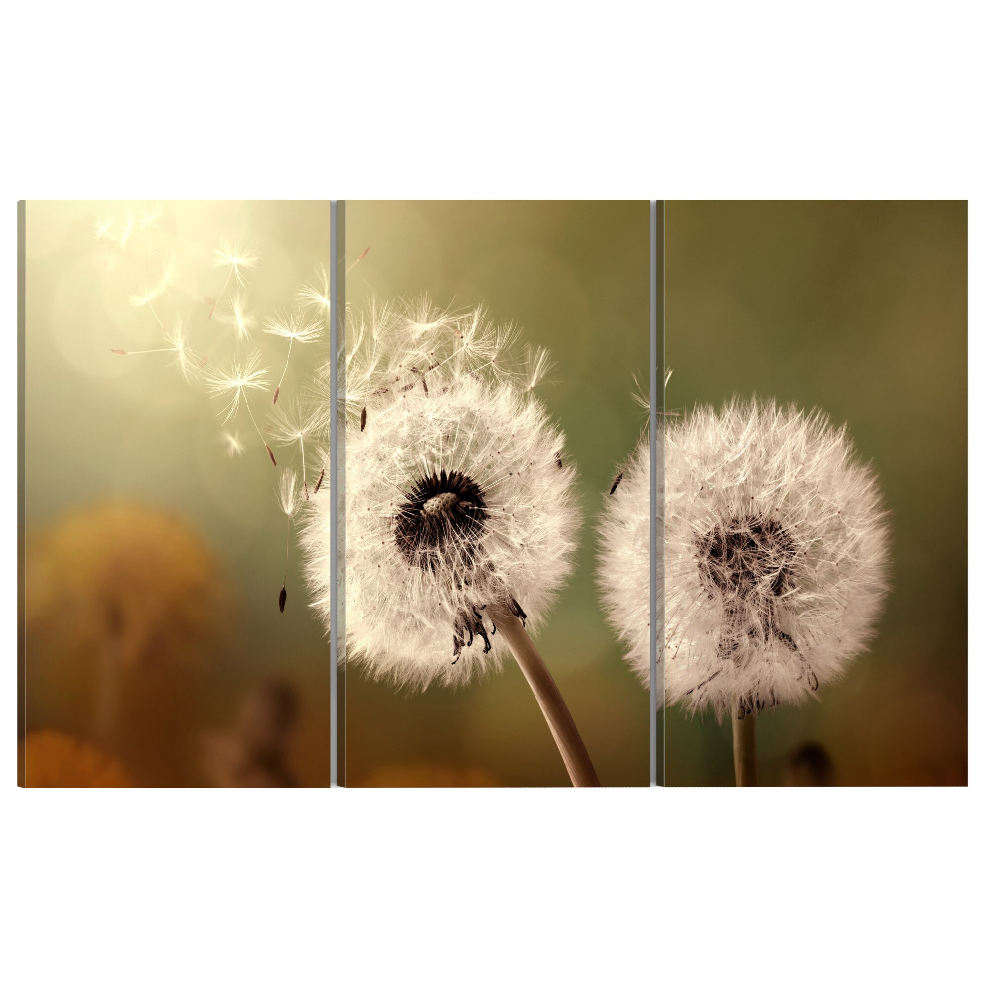 Tablou canvas 3 piese - Soapta de vara - 60 x 30 cm