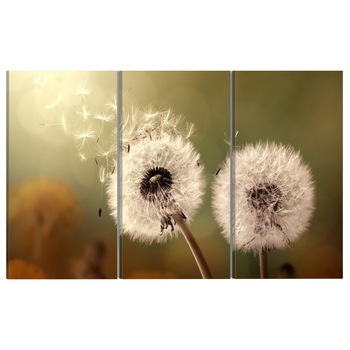 Tablou canvas 3 piese - Soapta de vara - 60 x 30 cm Tablou canvas 3 piese - Soapta de vara - 60 x 30 cm