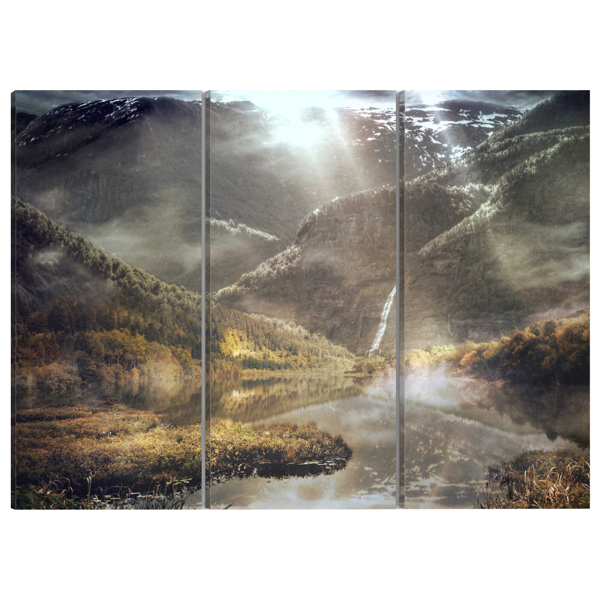 Tablou canvas 3 piese - Taramul nebuniei - 90 x 60 cm