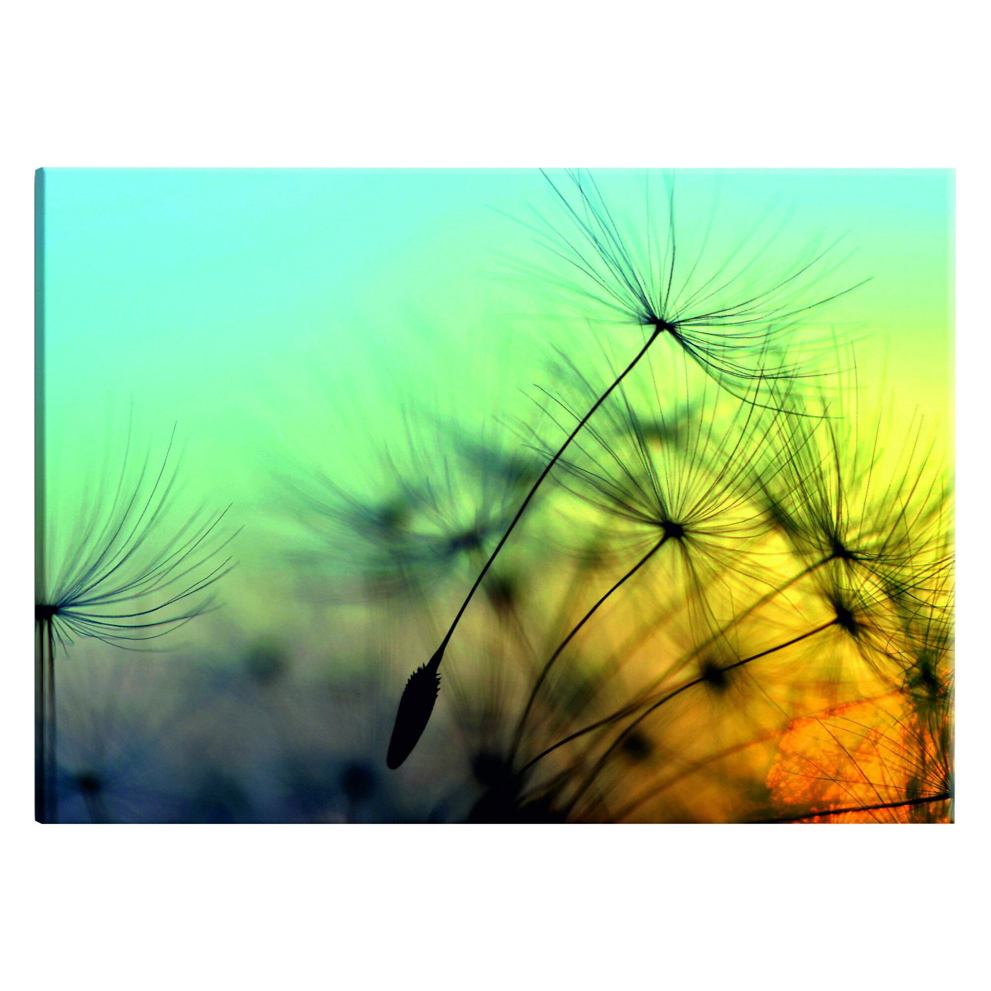 Tablou canvas - Balada Vantului - 120 x 80 cm