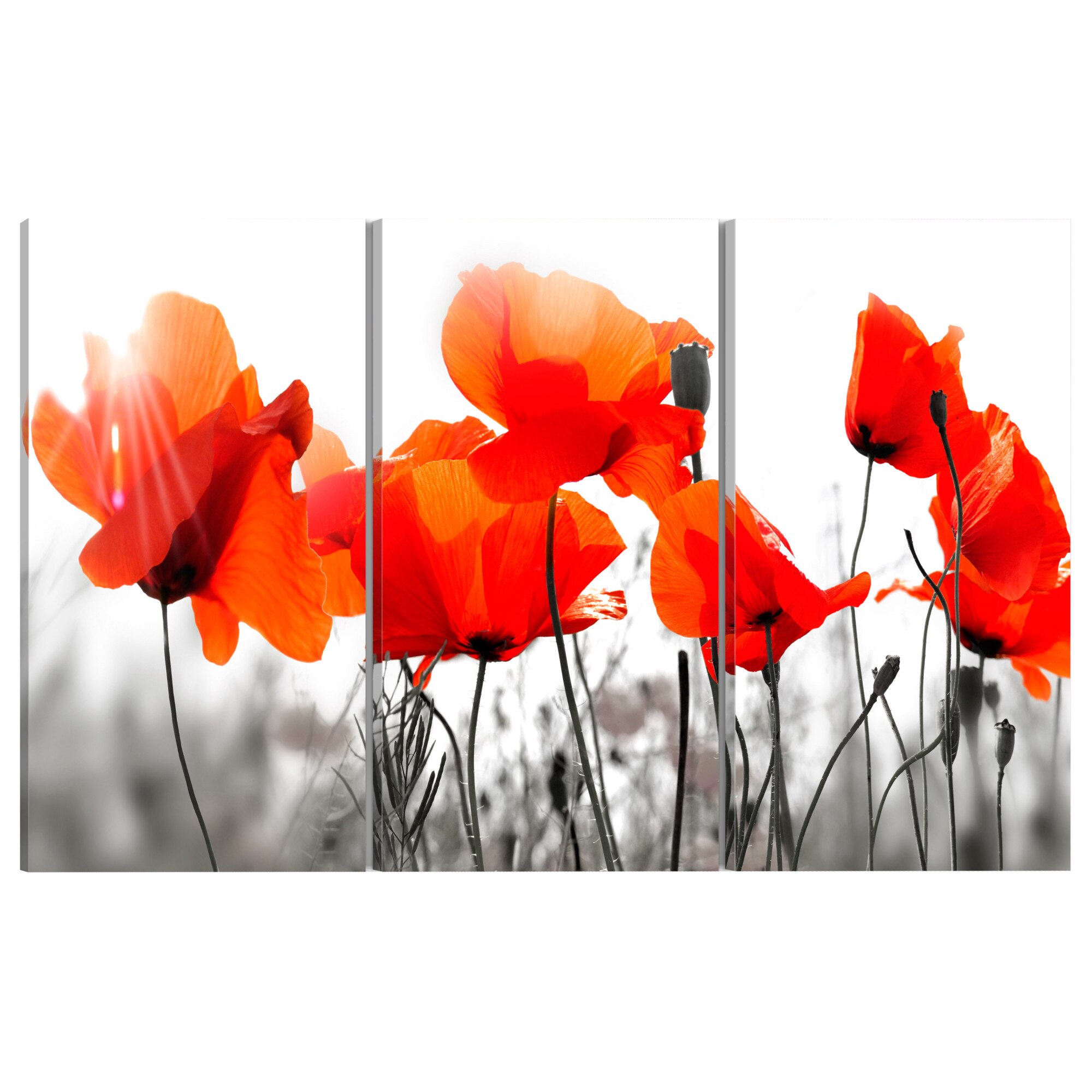 Tablou canvas 3 piese - Amice fermecatoare - 60 x 30 cm