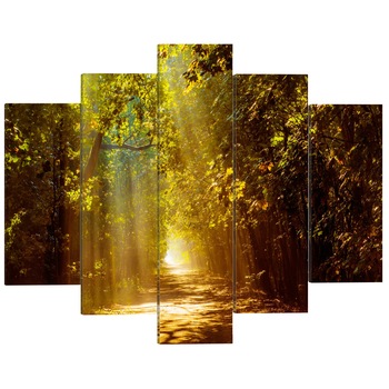 Tablou canvas 5 piese - Padure In lumina soarelui - 200 x 100 cm