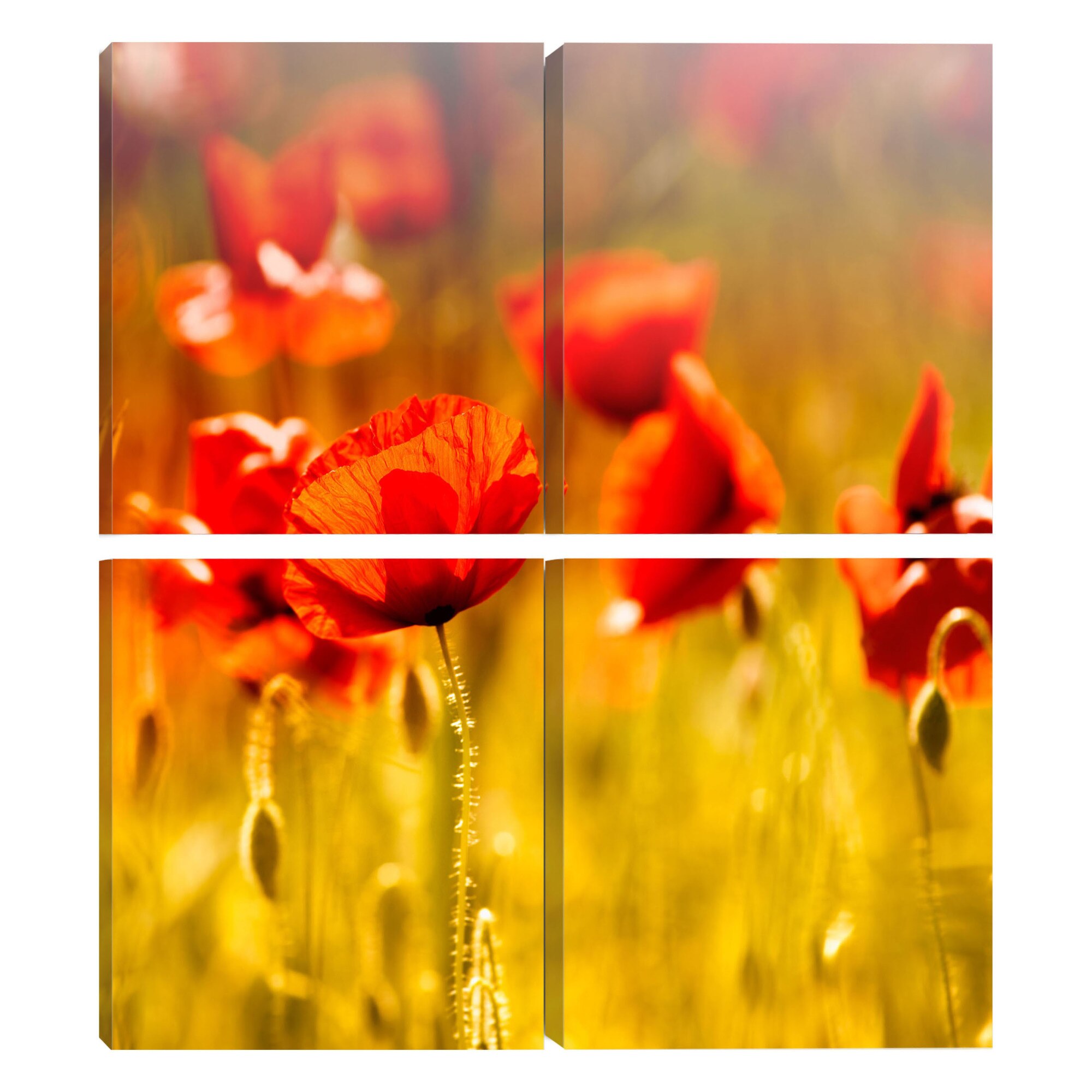 Tablou canvas 4 piese - Vara - 90 x 90 cm