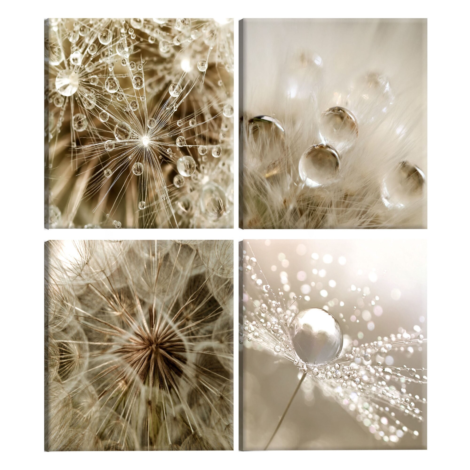 Tablou canvas 4 piese - Bej vara - 40 x 40 cm