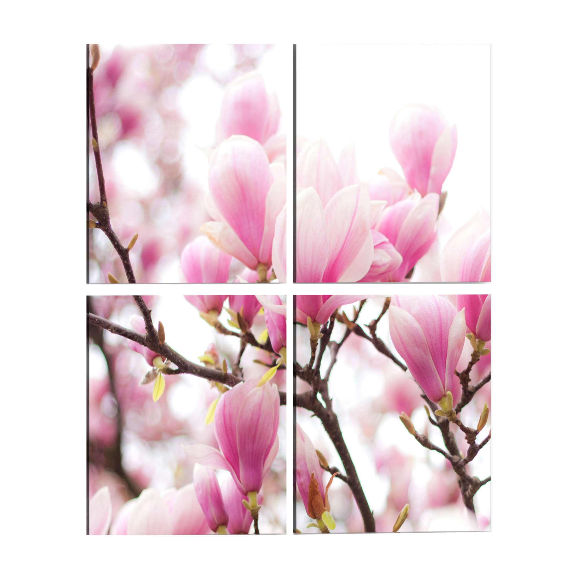 Tablou canvas 4 piese - Arborele de magnolie Inflorit - 90 x 90 cm