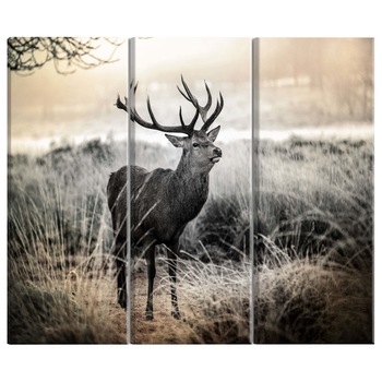 Tablou canvas 3 piese - Coarne periculoase I - 120 x 80 cm Tablou canvas 3 piese - Coarne periculoase I - 120 x 80 cm
