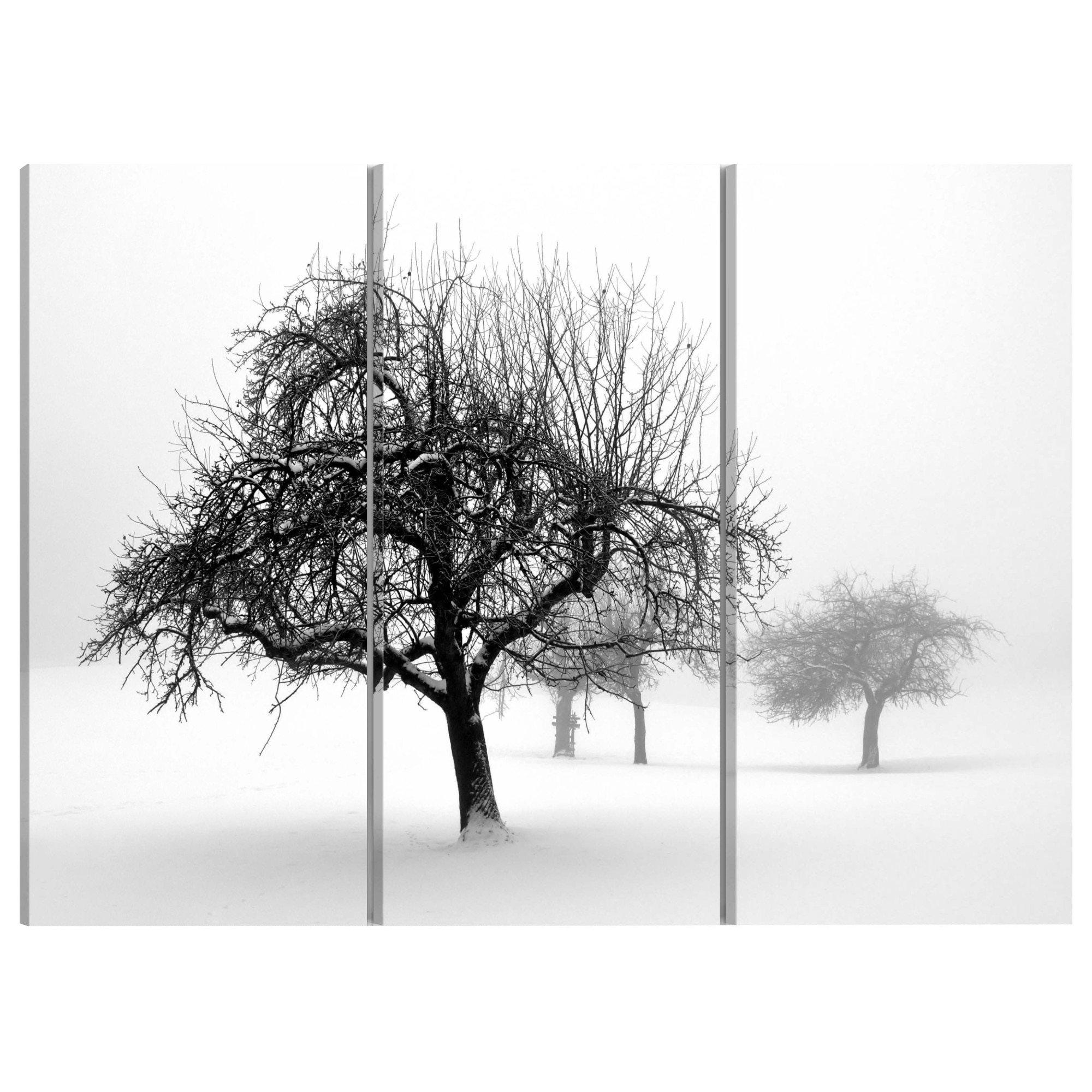 Tablou canvas 3 piese - Copacii scufundati In alb - 90 x 60 cm