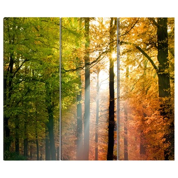 Tablou canvas 3 piese - Acalm padure de toamna - 90 x 60 cm Tablou canvas 3 piese - Acalm padure de toamna - 90 x 60 cm