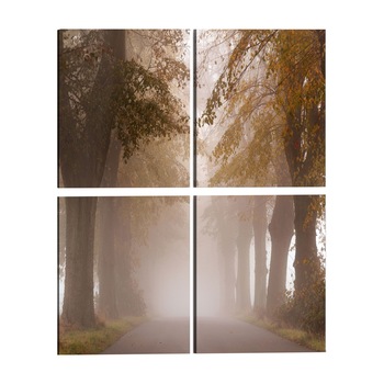 Tablou canvas 4 piese - Aleea ceata - 60 x 60 cm Tablou canvas 4 piese - Aleea ceata - 60 x 60 cm