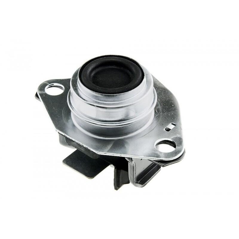 Tampon motor Renault Scenic (1999-2003) 7700437391