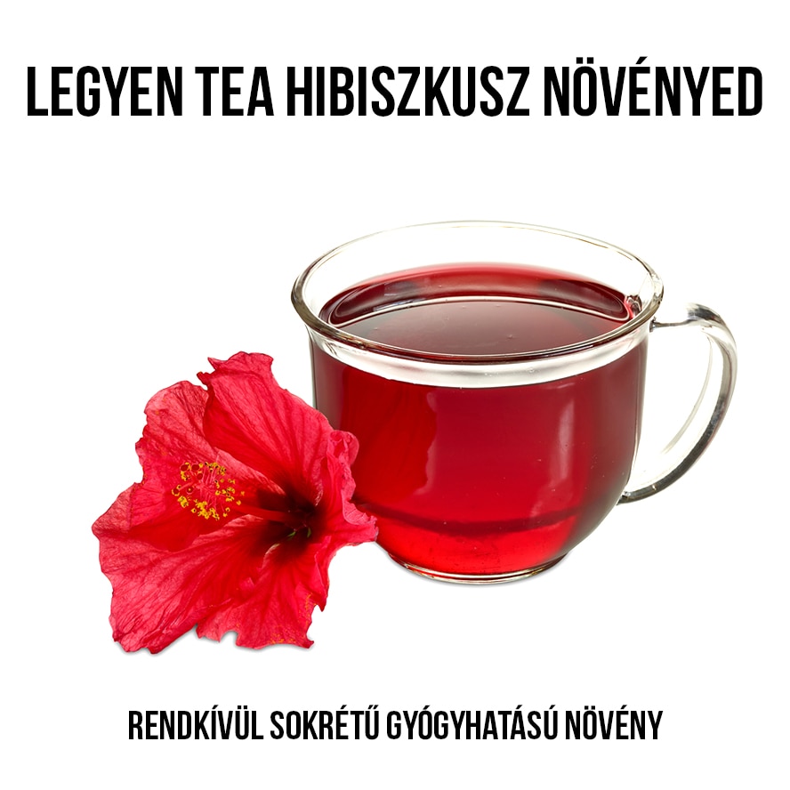 hibiszkusz tea segít a fogyásban