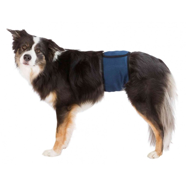 Лента за корем Trixie (уринарна инконтиненция) за мъже M 45-55 см синя 23663