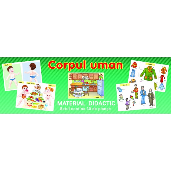 Planse - Corpul uman