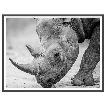 Tablou inramat  Tablou inramat