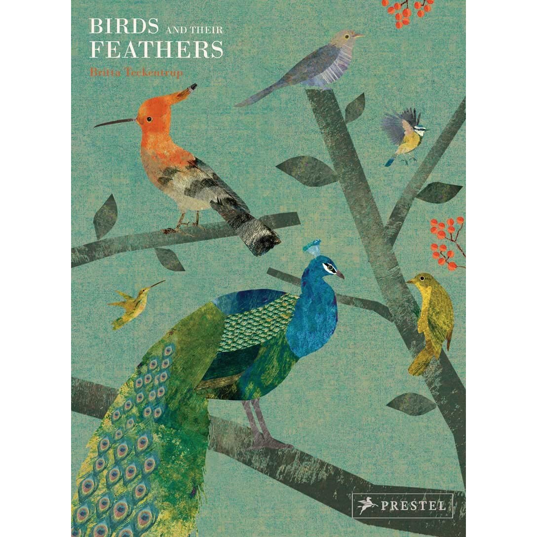 Birds and Their Feathers - Britta Teckentrup