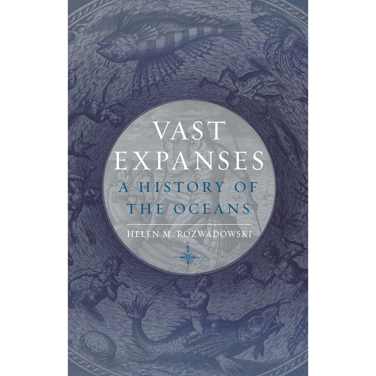 Vast Expanses - Helen M. Rozwadowski