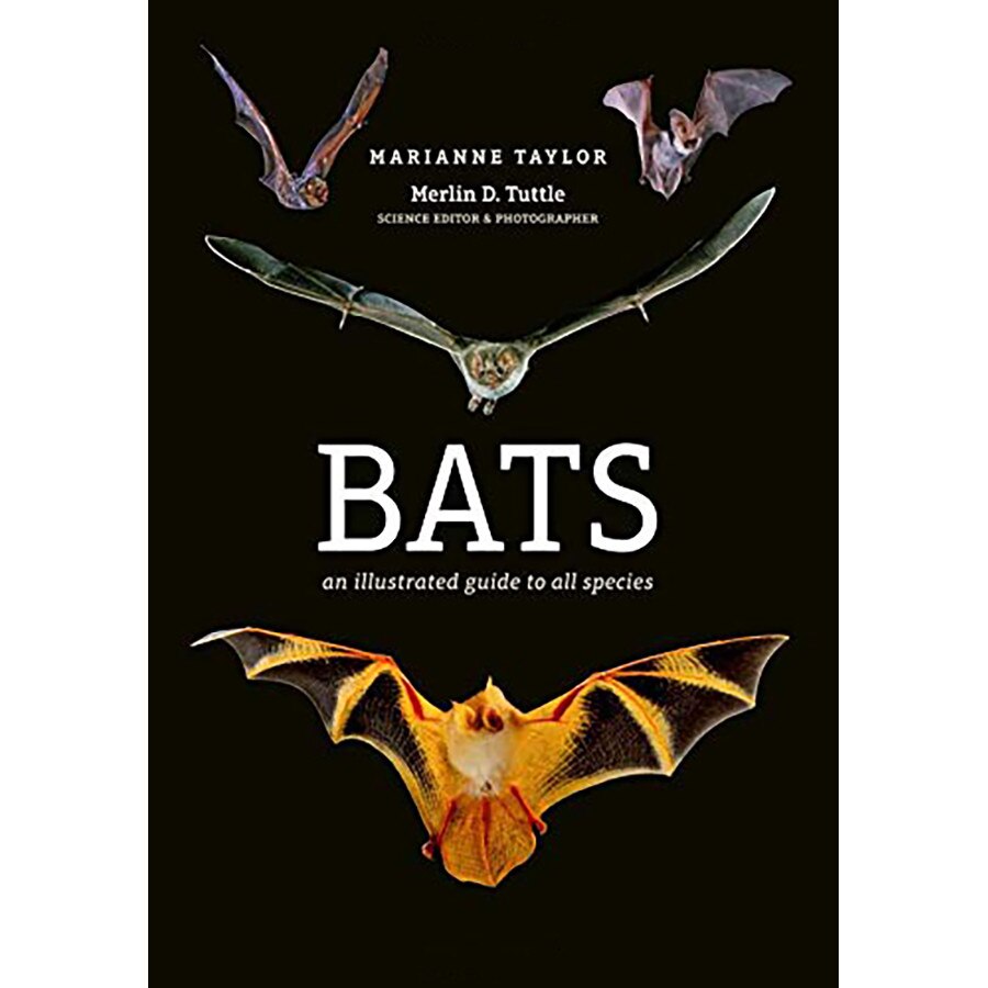 Bats - Marianne Taylor