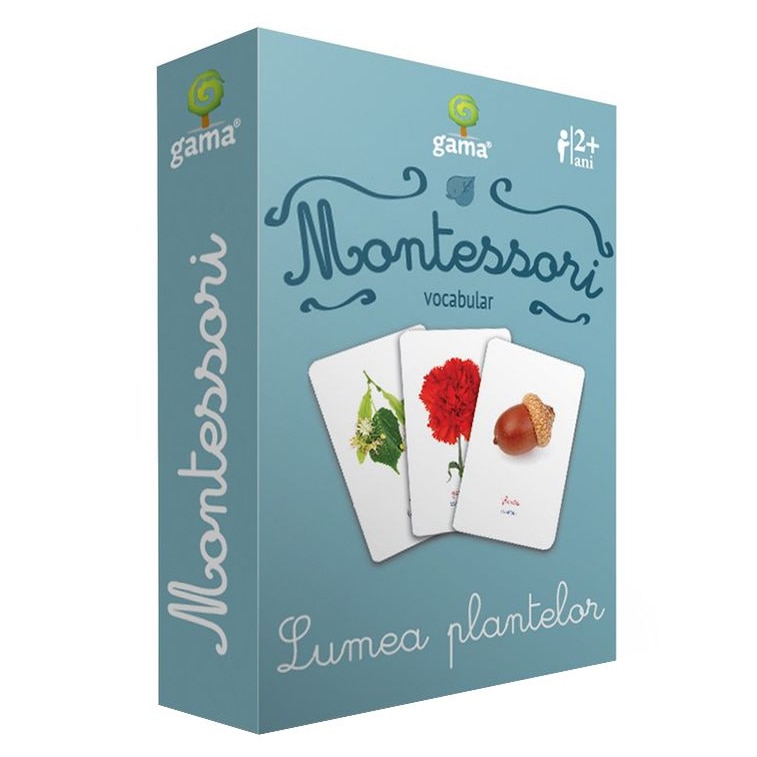 Vocabular.Lumea plantelor