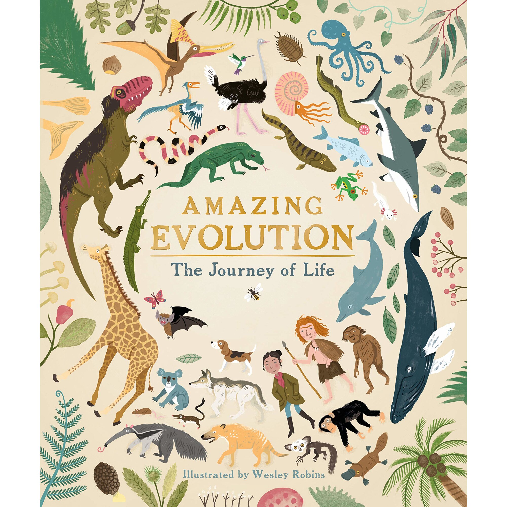 Amazing Evolution - Anna Claybourne