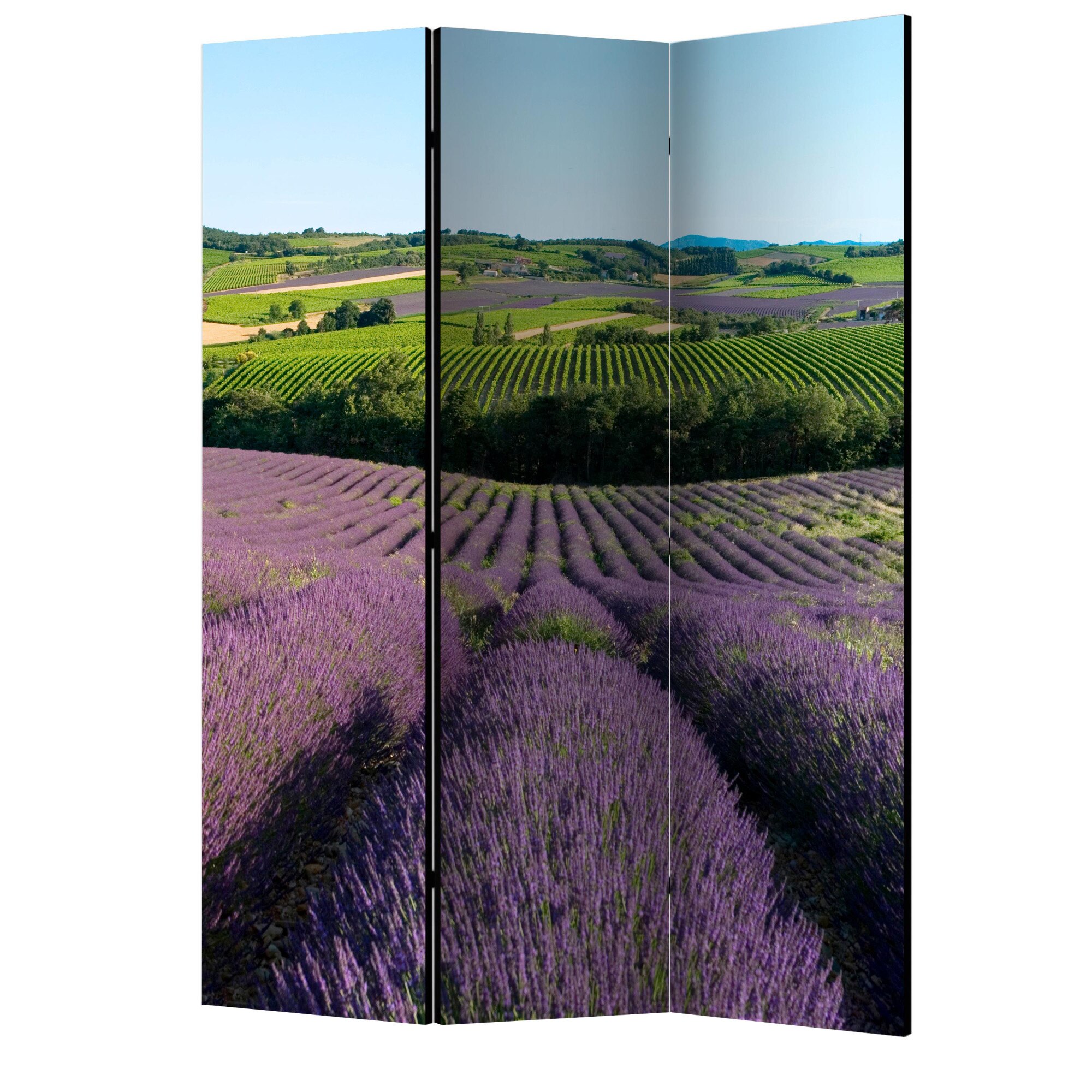 Paravan din 3 parti - Campuri de lavanda - 135 x 172 cm