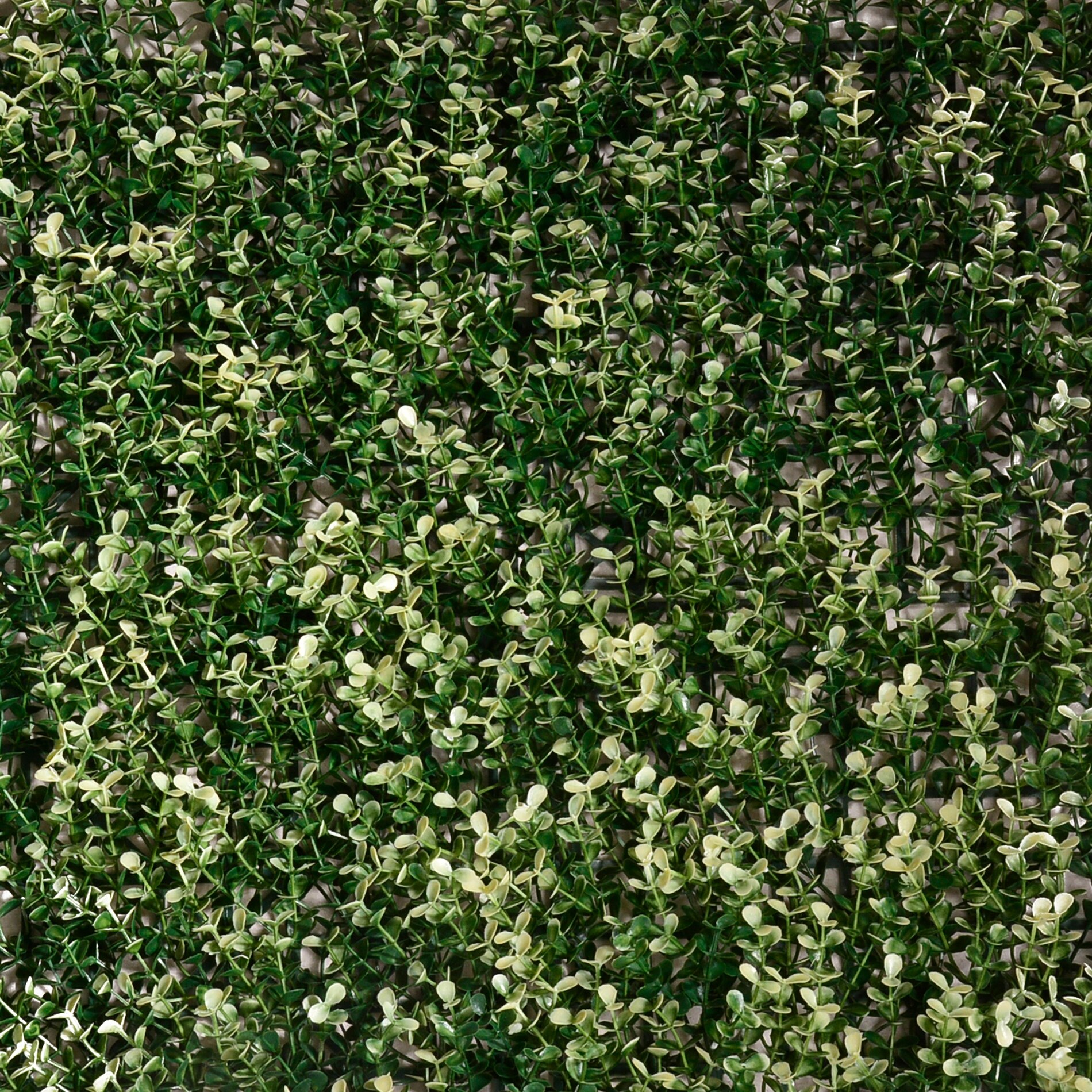 Panou artificial, Green Collection, Alb, 50 x 50