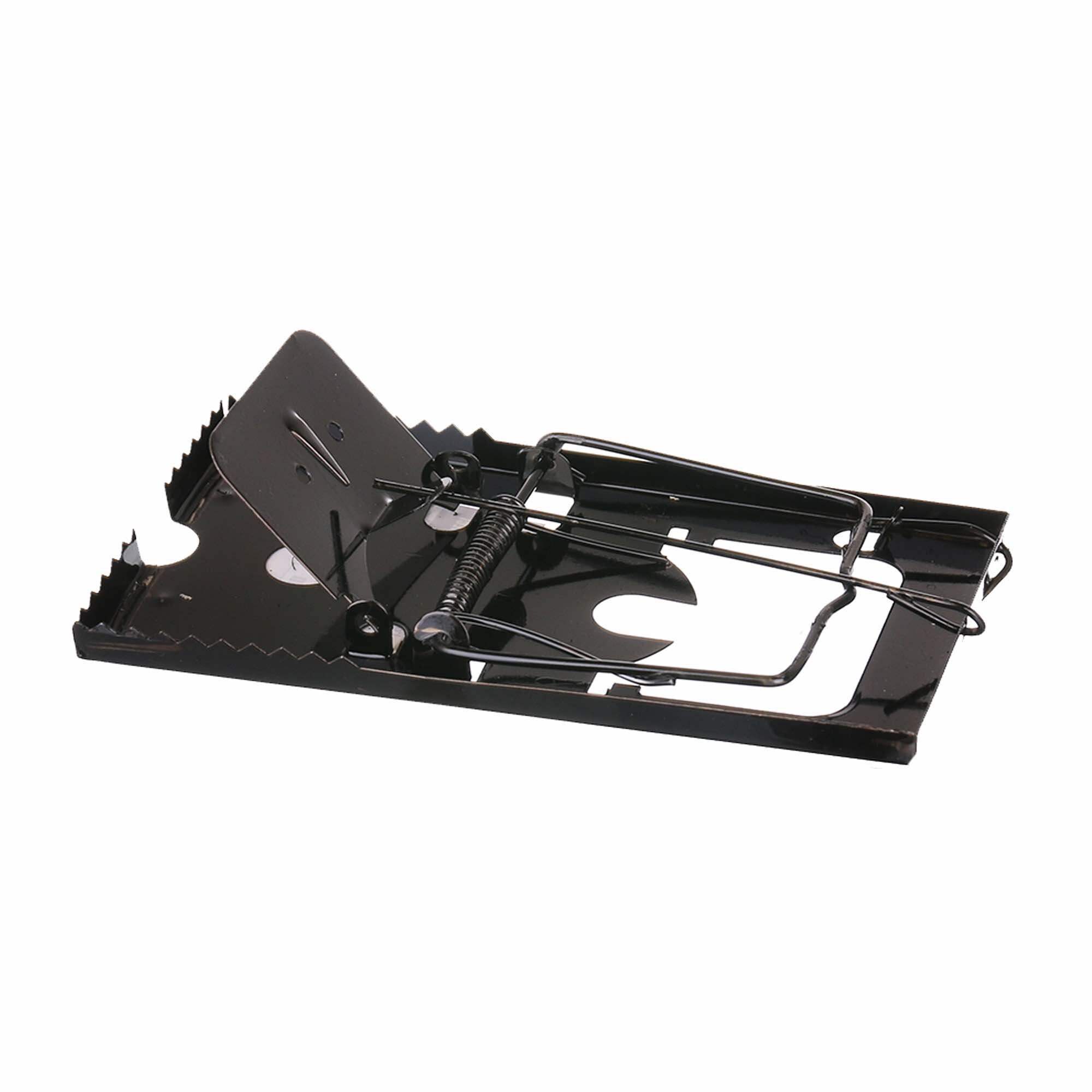 Cursa pentru soareci , metal 160x88