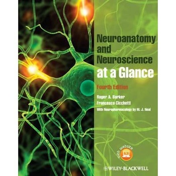 Neuroanatomy and Neuroscience at a Glance Neuroanatomy and Neuroscience at a Glance