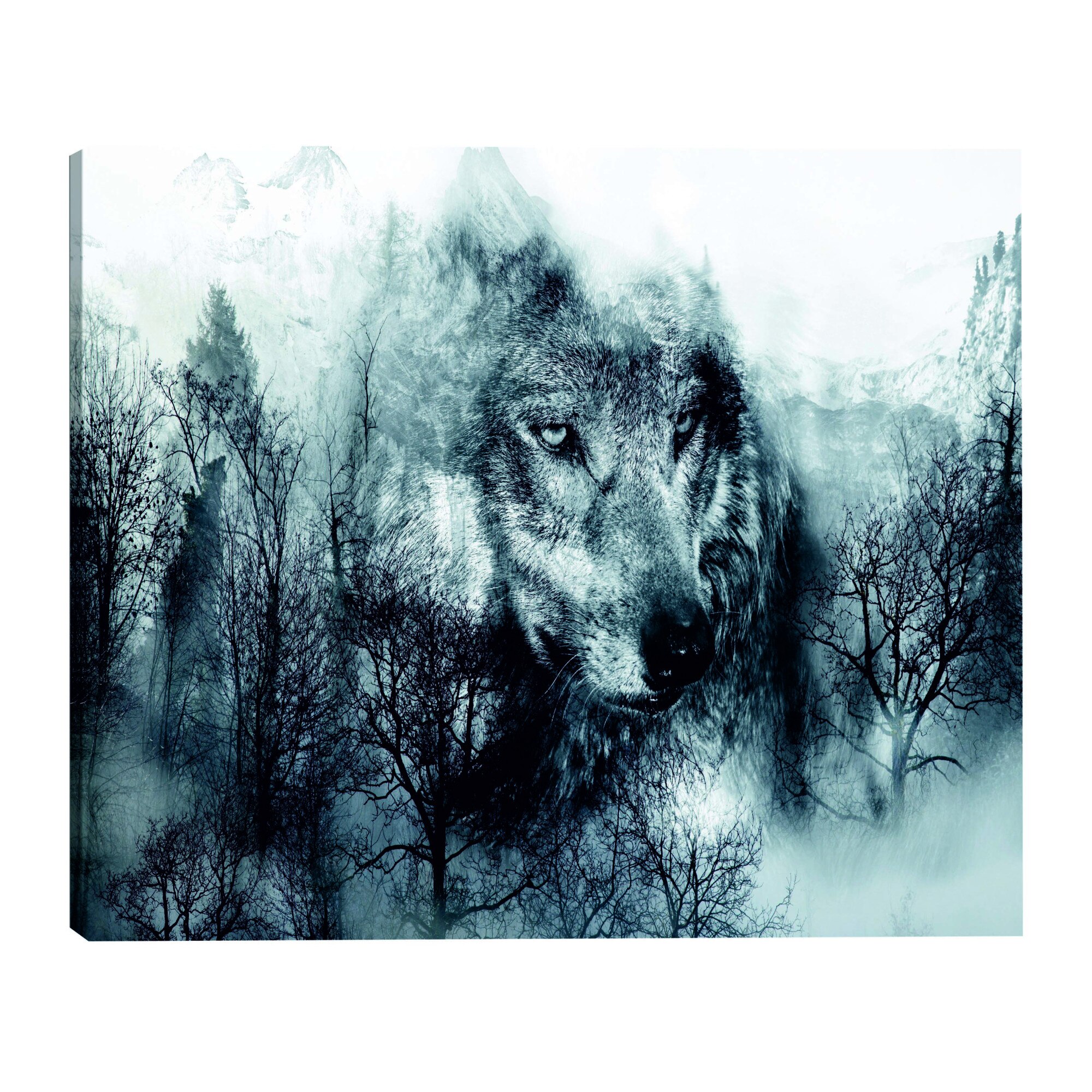 Tablou canvas - Muntele pradator larg alb-negru - 90 x 60 cm