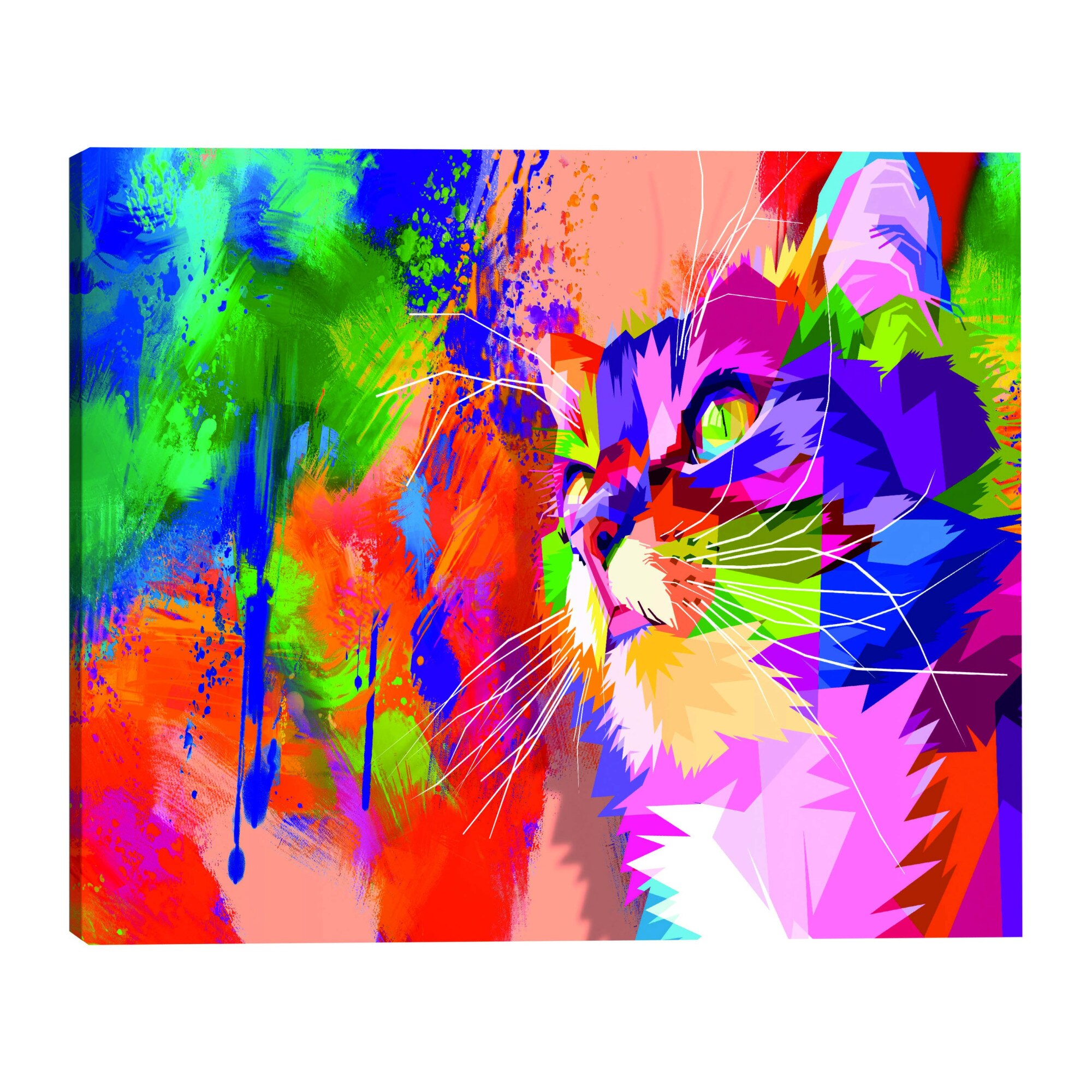 Tablou canvas - Cat colorat larg - 90 x 60 cm