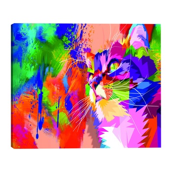 Tablou canvas - Cat colorat larg - 90 x 60 cm