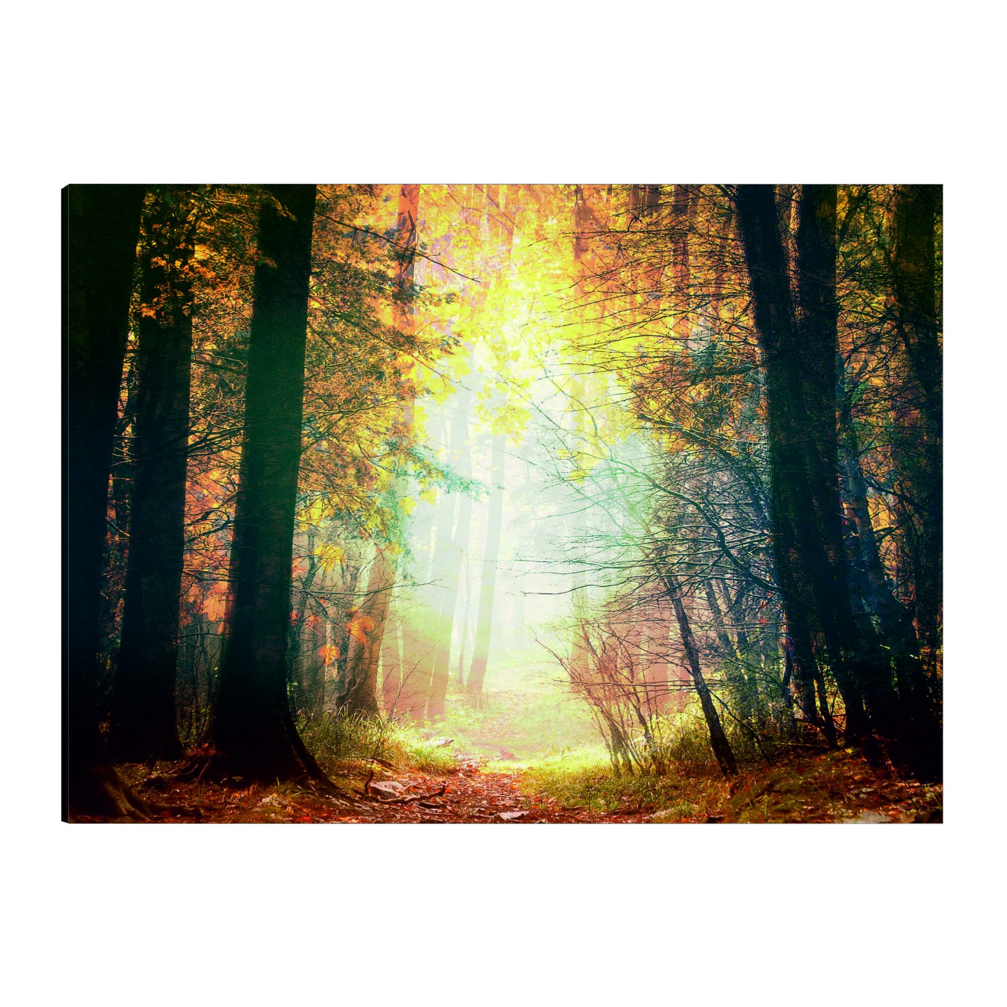 Tablou canvas - Frumusetea toamnei - 120 x 80 cm