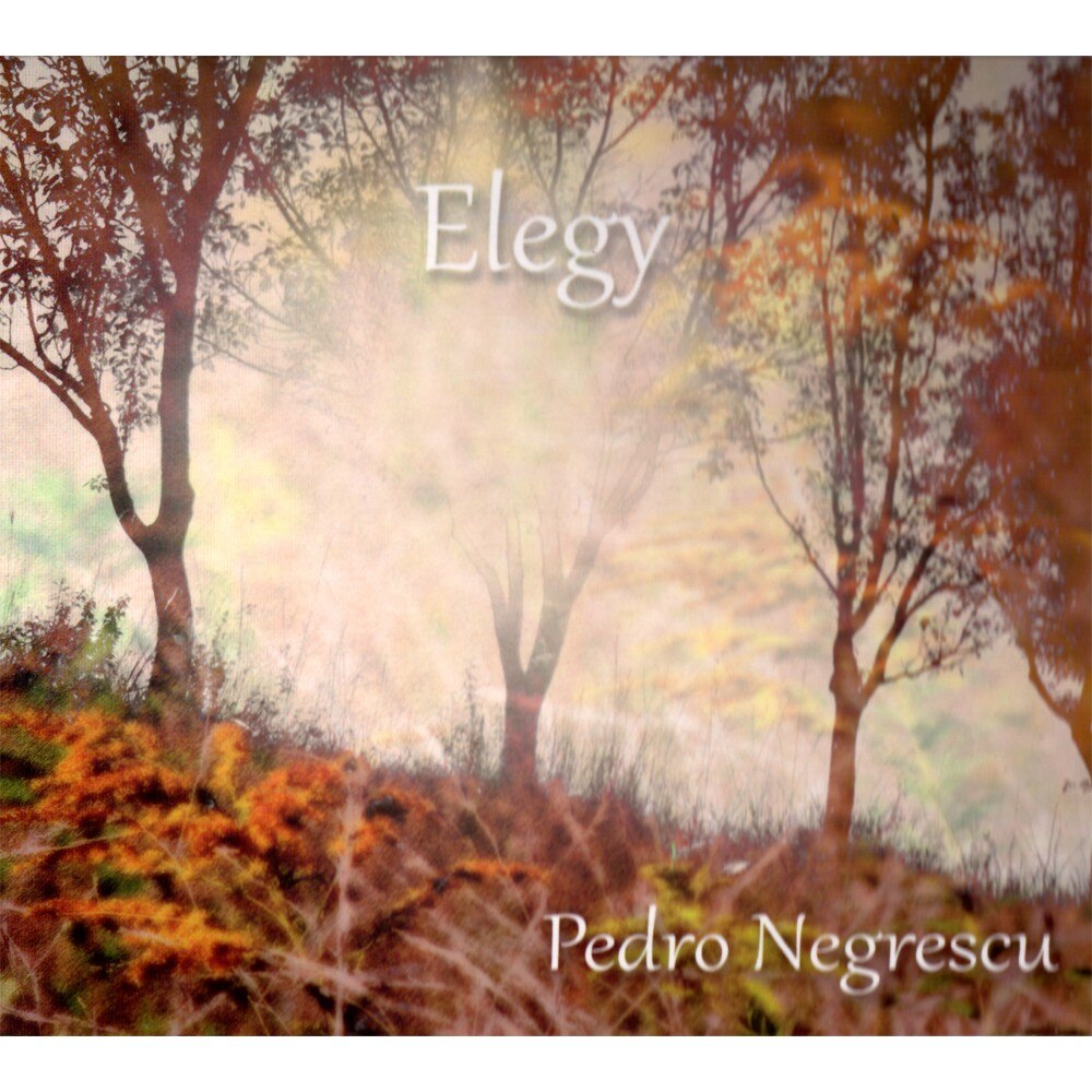 Pedro Negrescu - Elegy - CD digipack