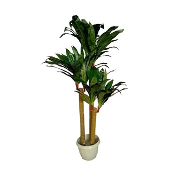 Yucca Lemonade, Baron, Verde, 130cm Yucca Lemonade, Baron, Verde, 130cm