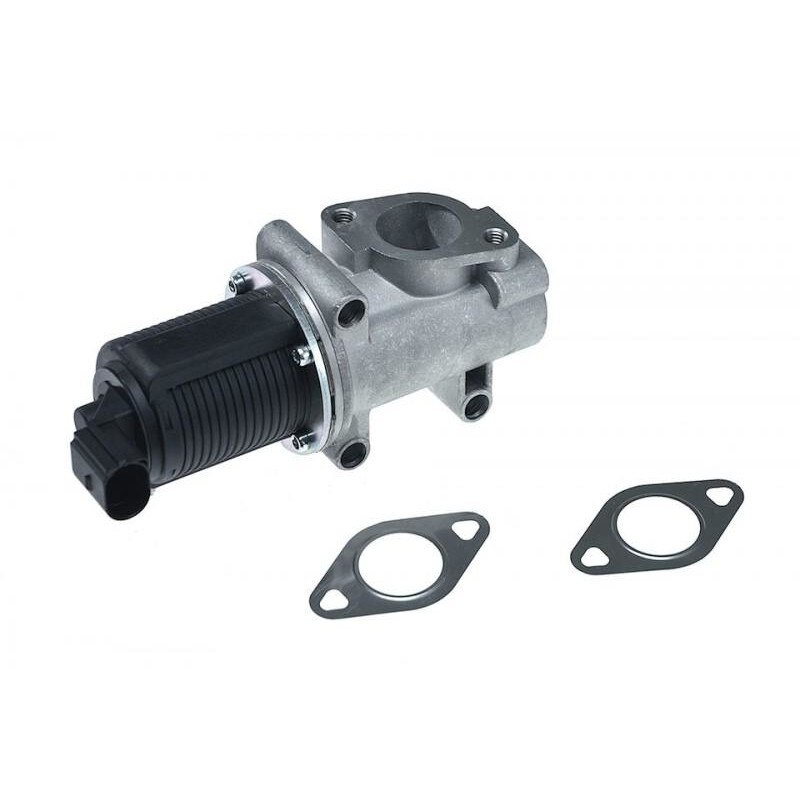 Egr Fiat Bravo 2 (2006->) [198] 46785766
