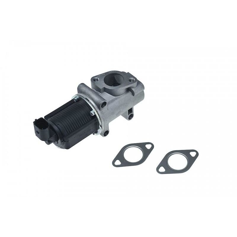 Egr Suzuki SX4 (2006->) 55186214